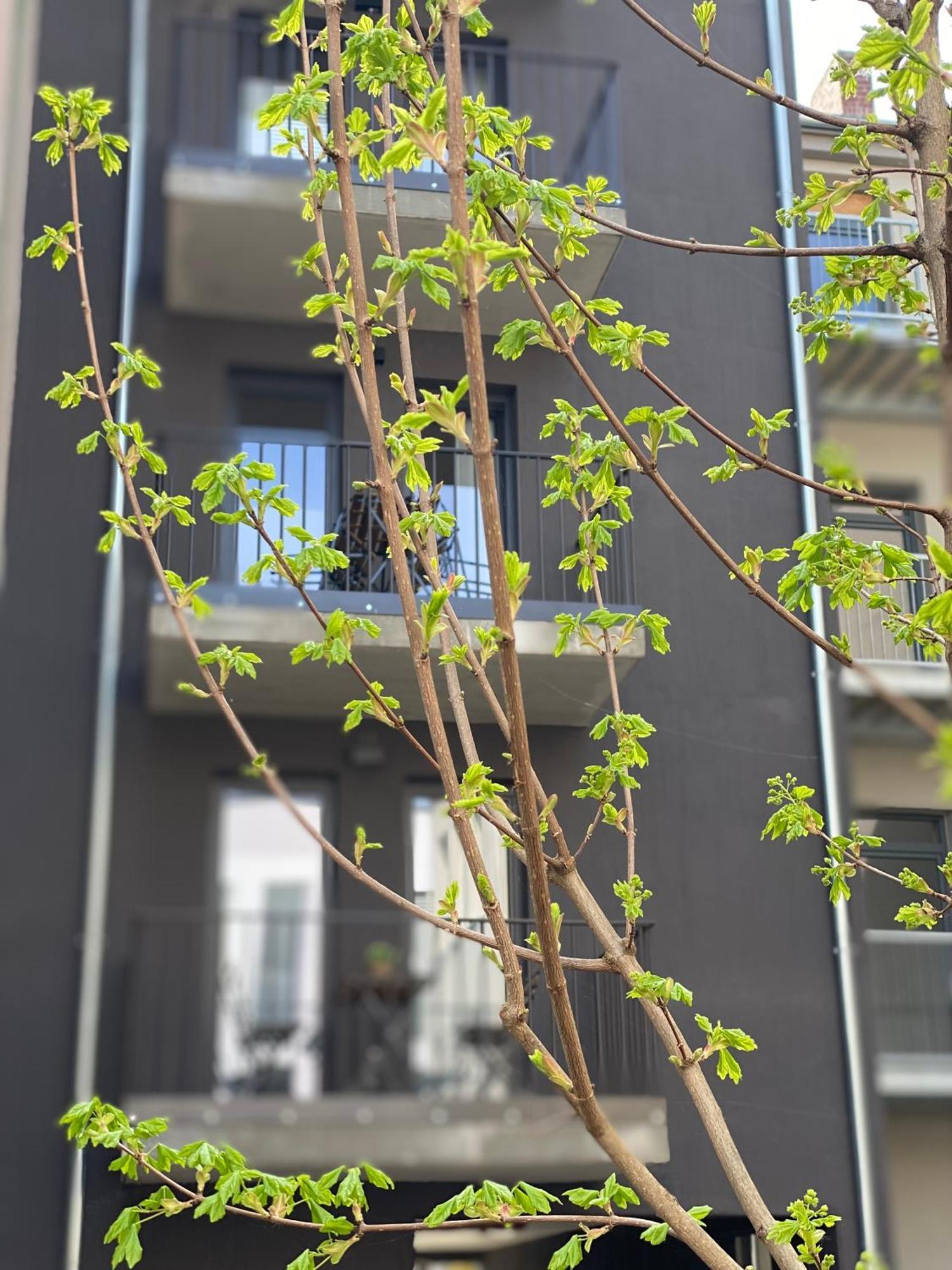 Eiwelhome - Stilvoll, Urban-Ruhig Schlafen, Bahnhofsnah, Balkon Ерфурт Екстериор снимка