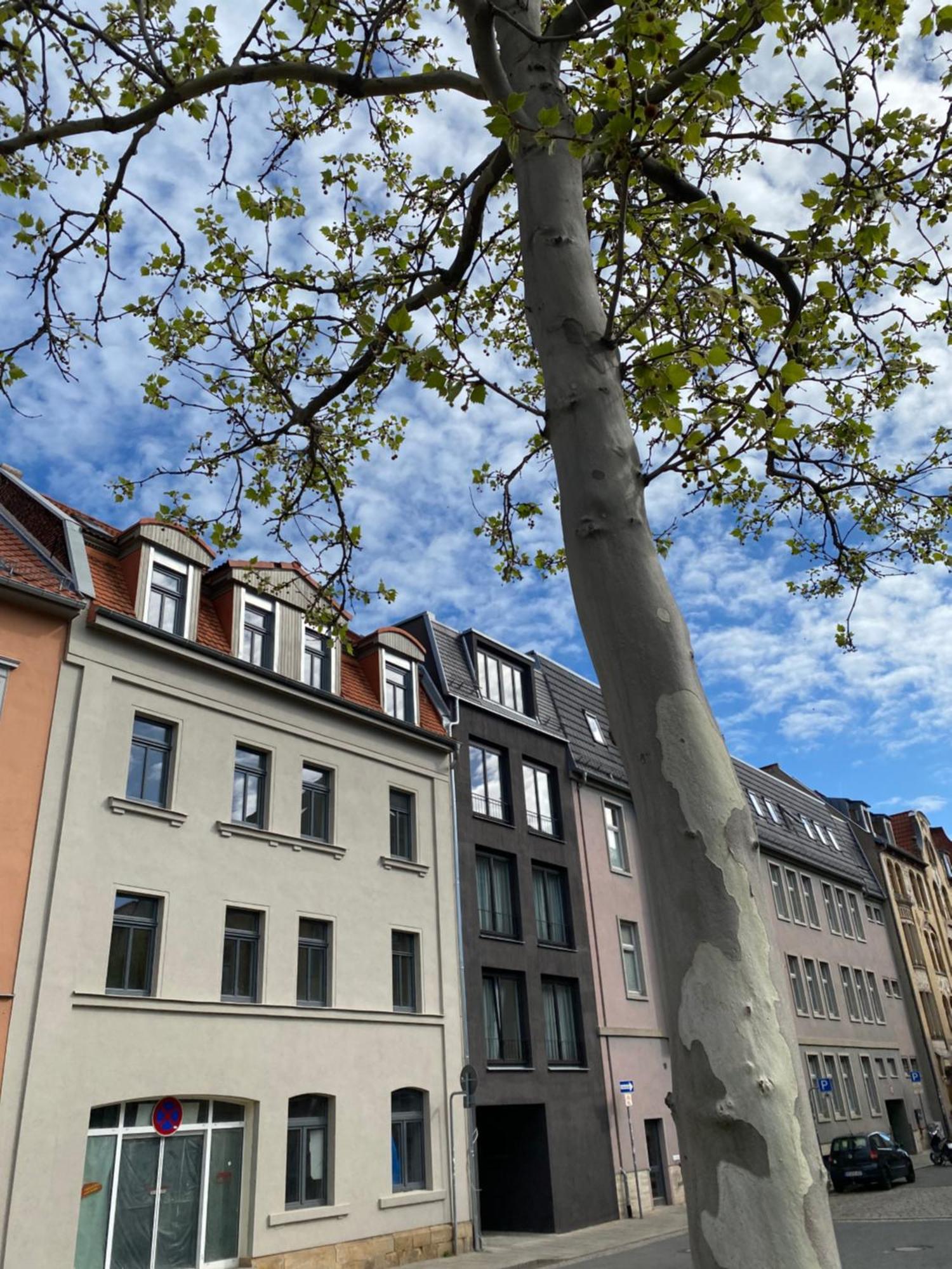 Eiwelhome - Stilvoll, Urban-Ruhig Schlafen, Bahnhofsnah, Balkon Ерфурт Екстериор снимка